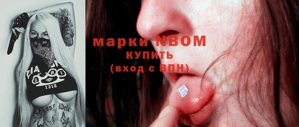 прущие крисы Горняк