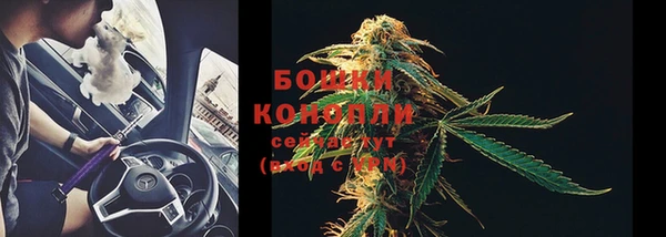 гидропоника Горно-Алтайск