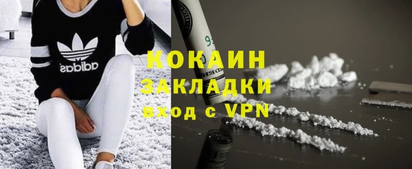 прущие крисы Горняк
