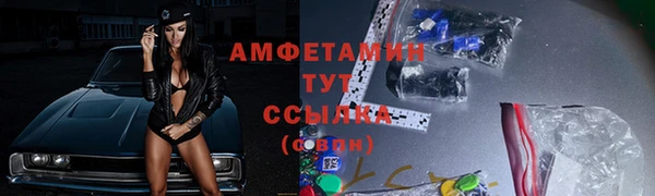 прущие крисы Горняк