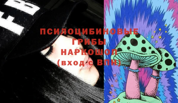 прущие крисы Горняк