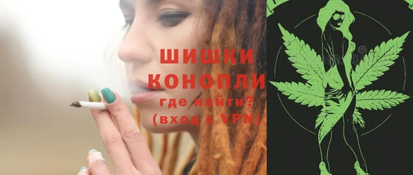 ГАЛЛЮЦИНОГЕННЫЕ ГРИБЫ Горнозаводск