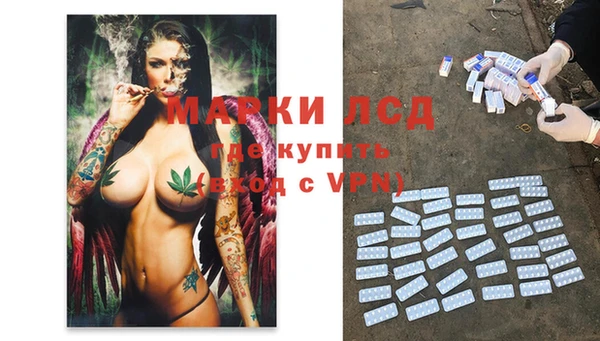 прущие крисы Горняк