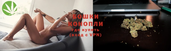 ГАЛЛЮЦИНОГЕННЫЕ ГРИБЫ Горнозаводск