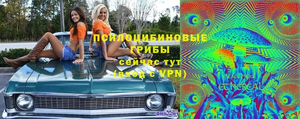 прущие крисы Горняк