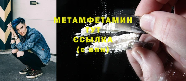 прущие крисы Горняк