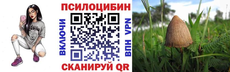 Галлюциногенные грибы MAGIC MUSHROOMS  Купить где  Приозерск 